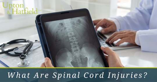 Xray in doctors hands